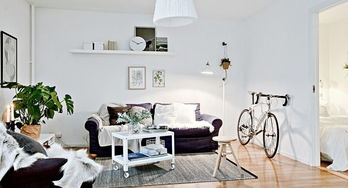 家居舒適自然歌德堡45平一居室效果圖欣賞